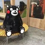 マヤの画像