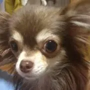 けんたろー