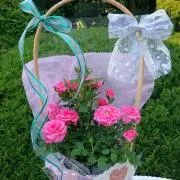 min ribbon♪の画像