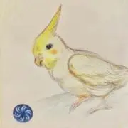 りーのの画像