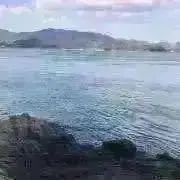 うた。コメント無し即購入OKの画像