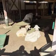 村