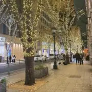 tomokaの画像