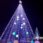 とみの画像