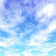 はりぼの画像
