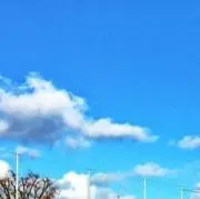 リアショゴ