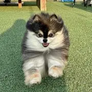 AAAAAAAAの画像