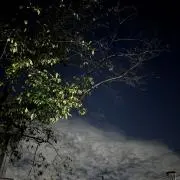 あいの画像