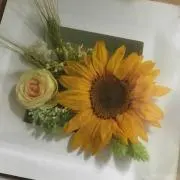 ぽよん