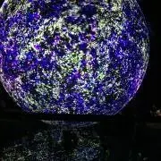 きらりんの画像