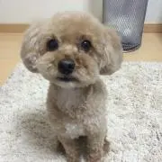 R♡Rの画像