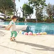 まいまいの画像