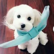 まきろんろん