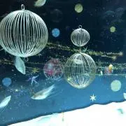 プロフ確認　rillyの画像