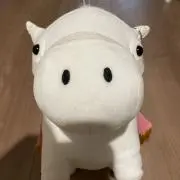 tomonoshinの画像