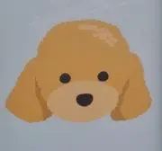 くあてんの画像