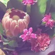 mintribbons✴︎断捨離中✴︎の画像