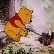 はなこの画像