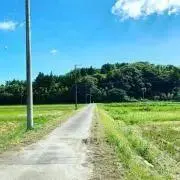 猫毛