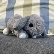 ななの画像
