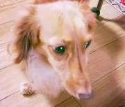 haru＊