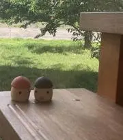 さきんこ