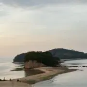 のりたまるしゅぢの画像