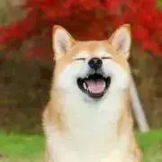 aaaの画像