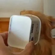 たかボウω