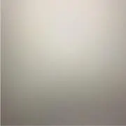 omochiの画像