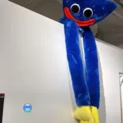あぼかどの画像
