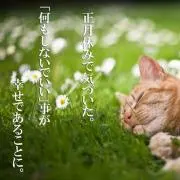 ヒロの画像
