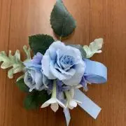 さっさんの画像