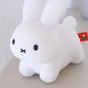 りの画像