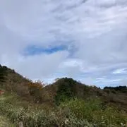 ルークの画像