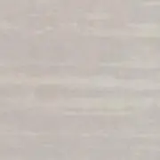 chiiiの画像