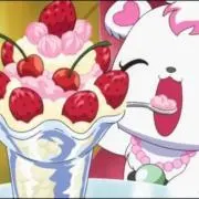 くまの画像