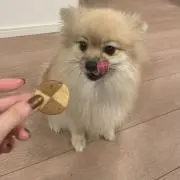nの画像