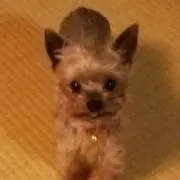 HOKU✩.*˚の画像