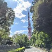 リリーの画像