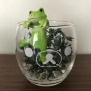 ちゃん★*の画像