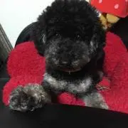ごんごん