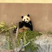 けいやんの画像