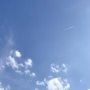 booooonの画像