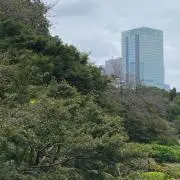 himagineの画像