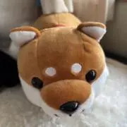 メロディの画像