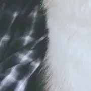 もちゃの画像