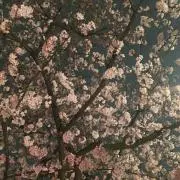 Azureの画像