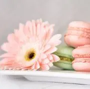 ちゃんまめ☆