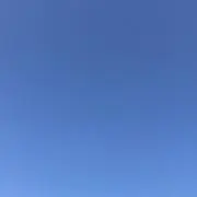 ルーの画像